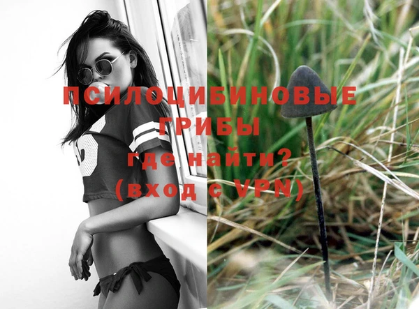 ALPHA PVP Михайловка